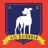 AFC Richmond - myjersey