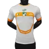 Côte d'Ivoire Away Authentic Jersey 2022 Men - myjersey