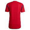 Spain Home Authentic Jersey World Cup 2022 Men - myjersey